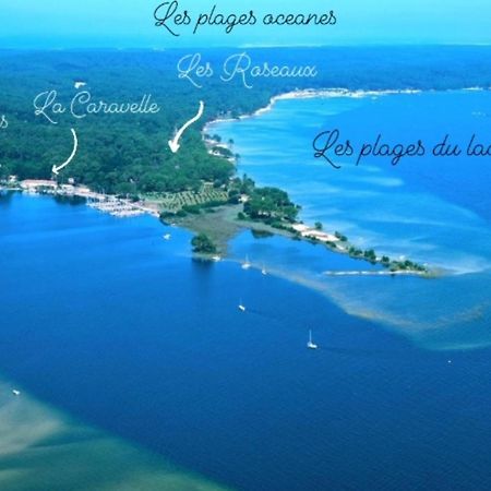 Studio Mansarde Climatise Les Roseaux Bord De Lac ビスカロッス エクステリア 写真