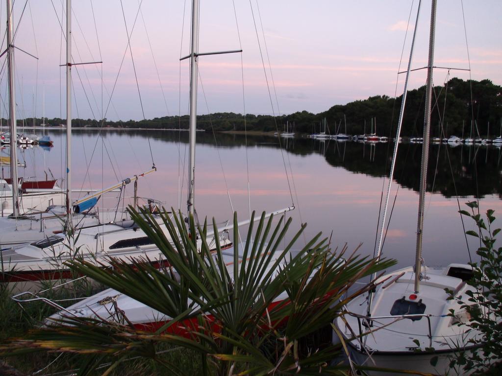 Studio Mansarde Climatise Les Roseaux Bord De Lac ビスカロッス エクステリア 写真