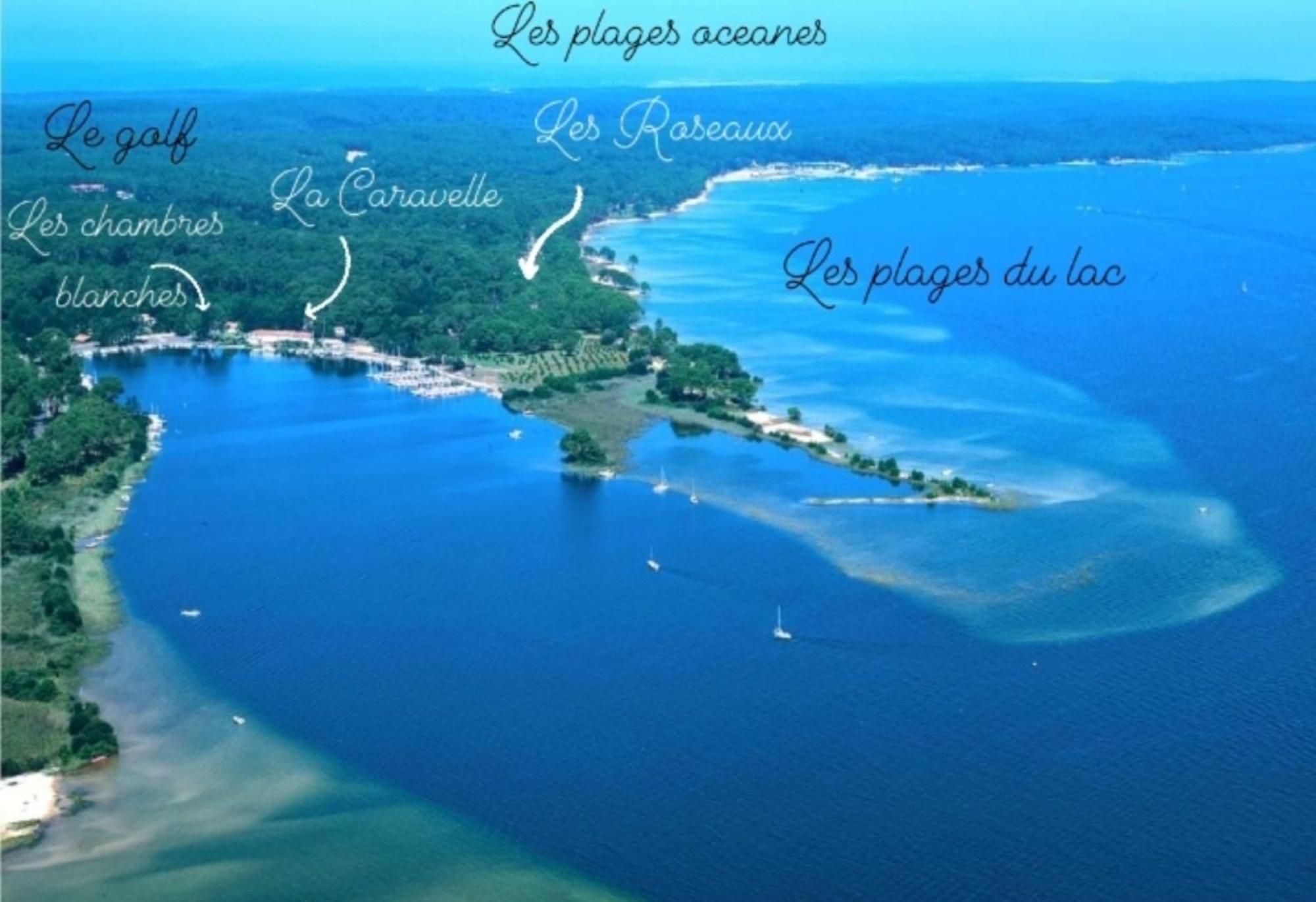 Studio Mansarde Climatise Les Roseaux Bord De Lac ビスカロッス エクステリア 写真