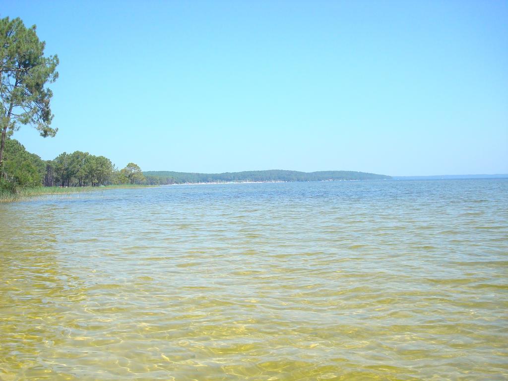 Studio Mansarde Climatise Les Roseaux Bord De Lac ビスカロッス エクステリア 写真