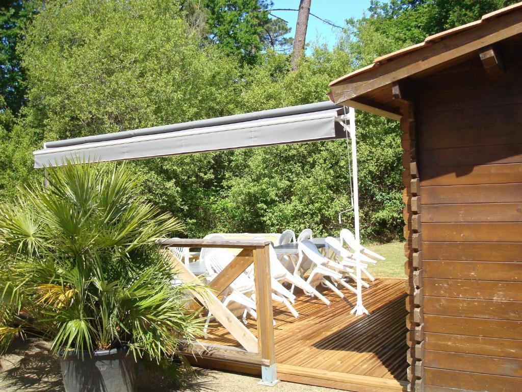 Studio Mansarde Climatise Les Roseaux Bord De Lac ビスカロッス エクステリア 写真