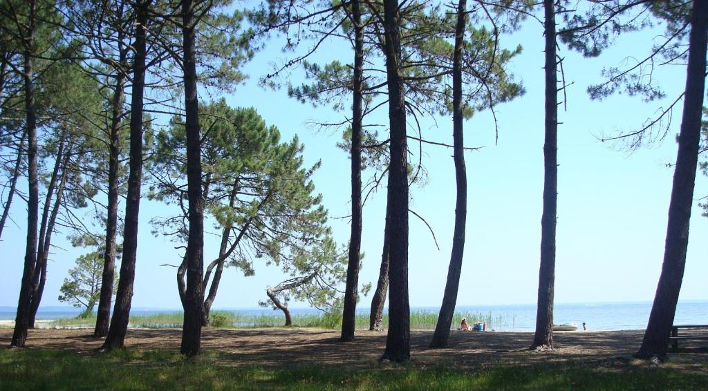 Studio Mansarde Climatise Les Roseaux Bord De Lac ビスカロッス エクステリア 写真