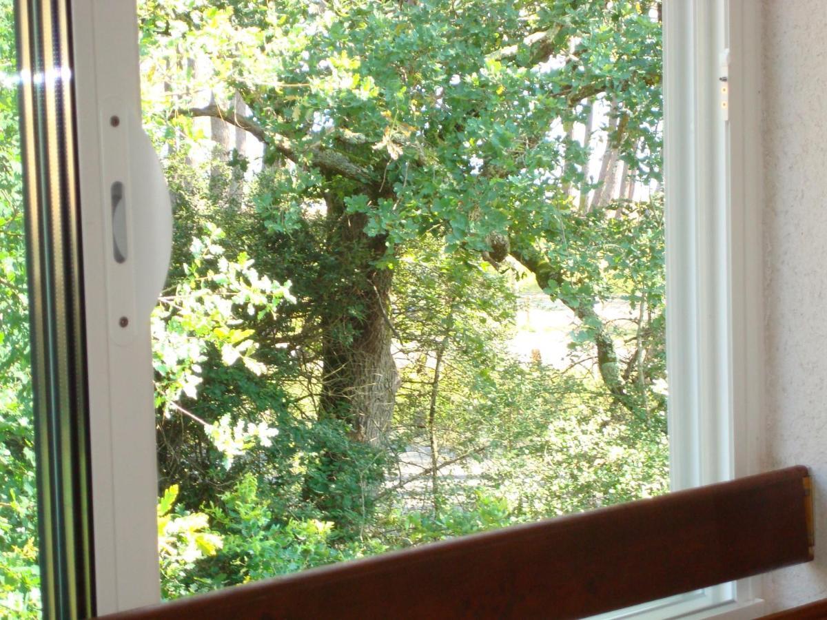 Studio Mansarde Climatise Les Roseaux Bord De Lac ビスカロッス 部屋 写真